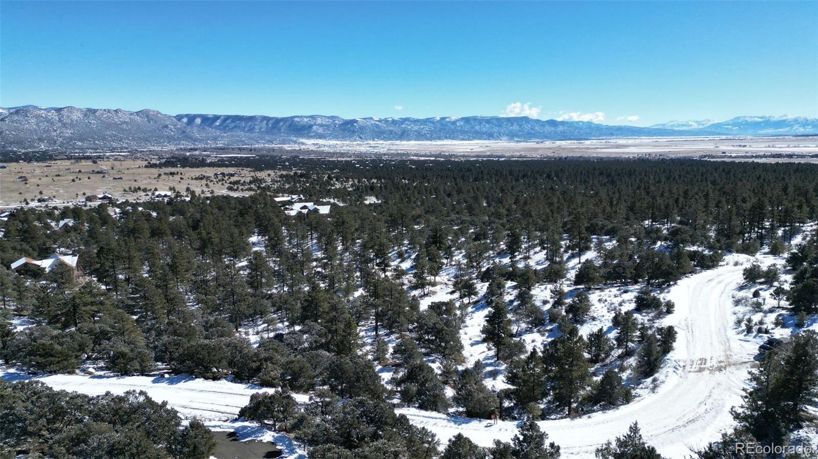30110 Princeton Hills Buena Vista CO 81211