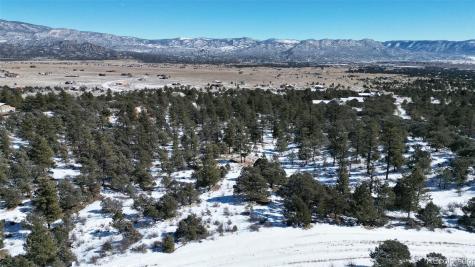 30110 Princeton Hills Buena Vista CO 81211