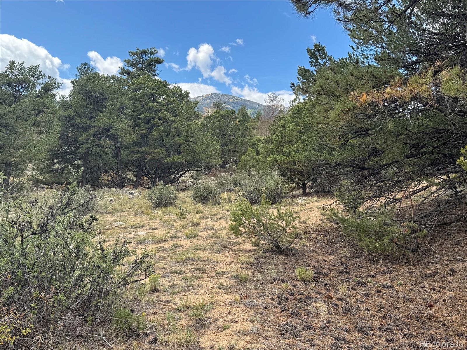 30110 Princeton Hills Buena Vista CO 81211