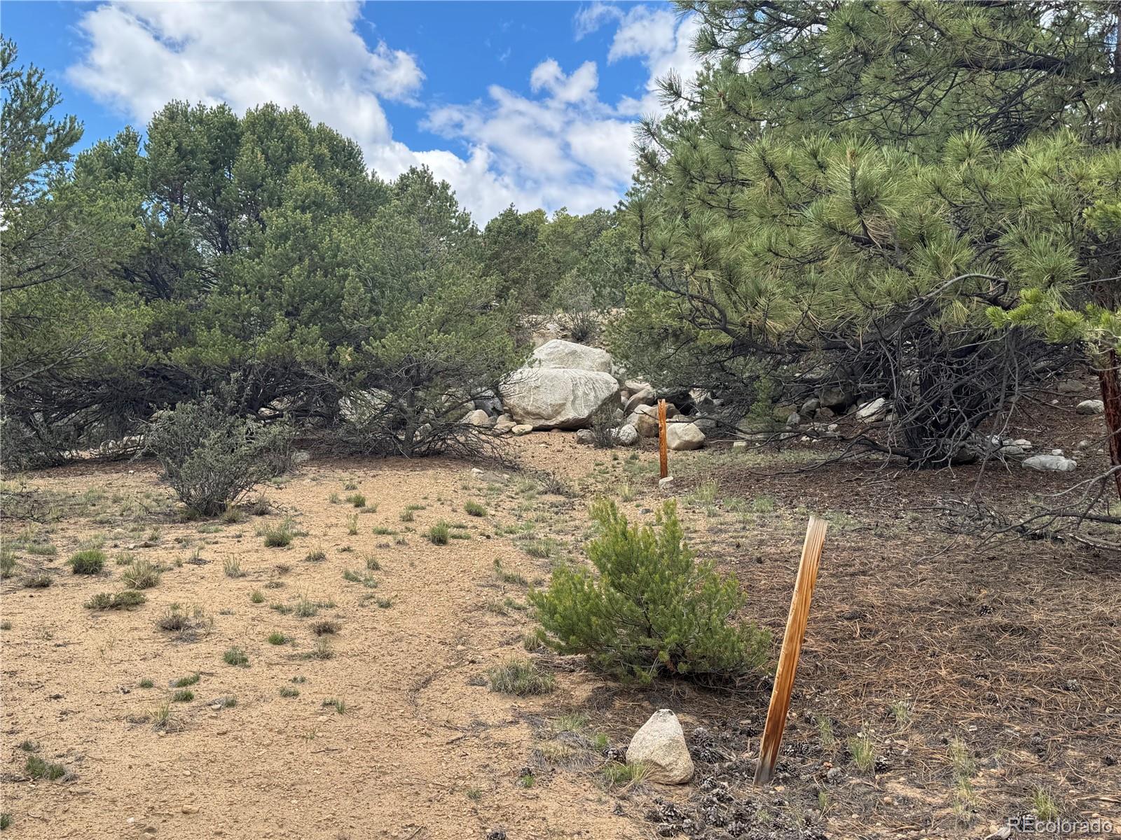 30110 Princeton Hills Buena Vista CO 81211