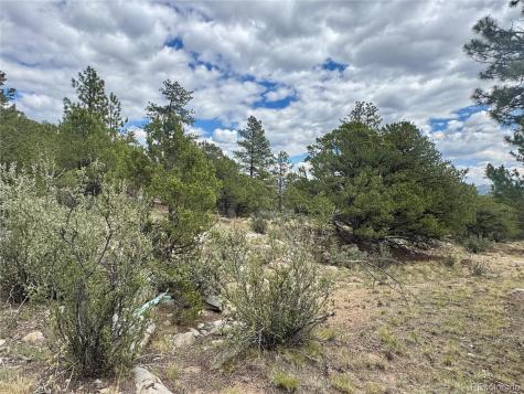 30110 Princeton Hills Buena Vista CO 81211