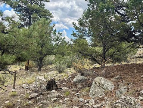 30110 Princeton Hills Buena Vista CO 81211