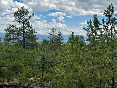 30110 Princeton Hills Buena Vista CO 81211