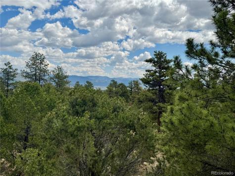 30110 Princeton Hills Buena Vista CO 81211