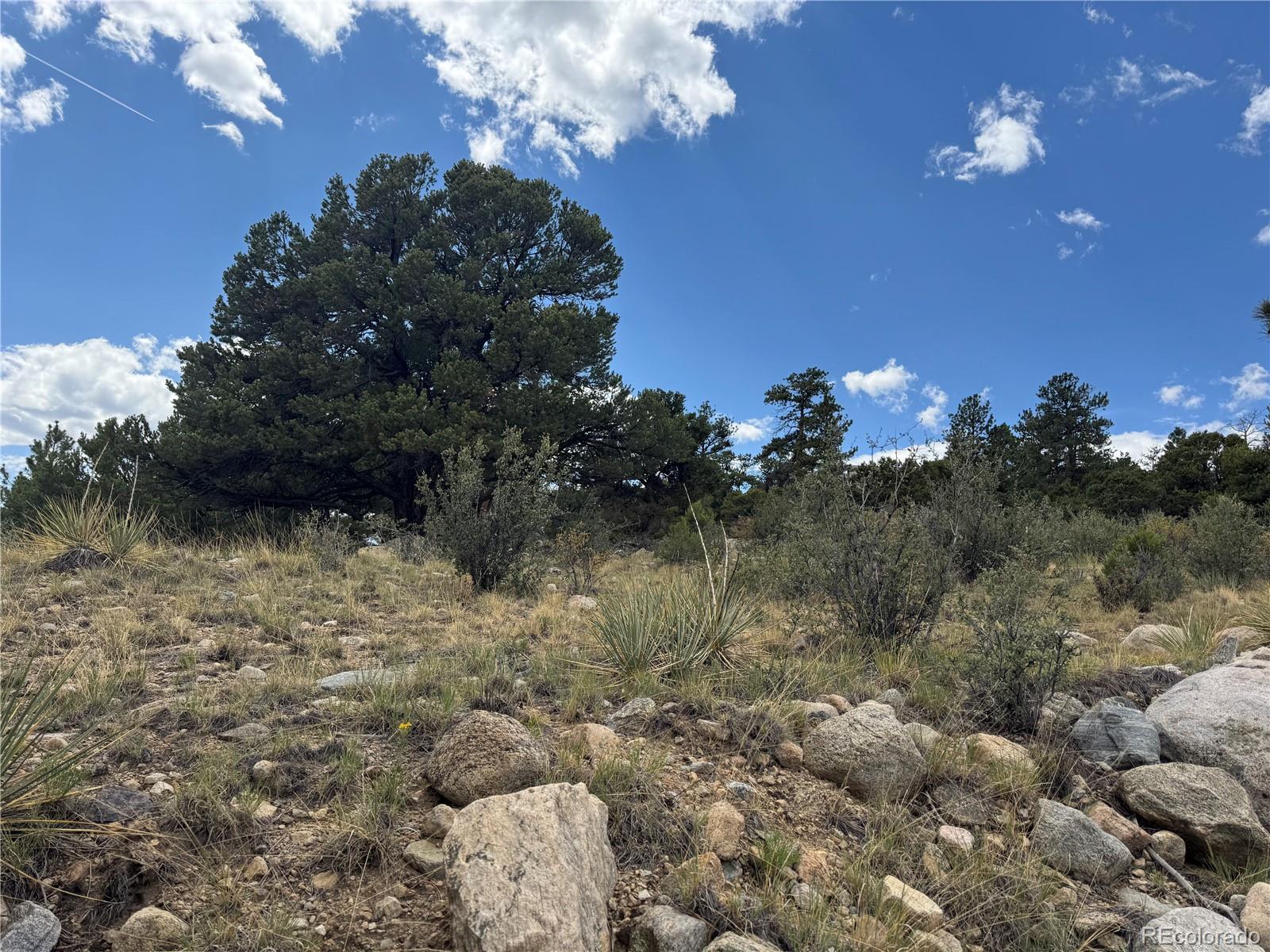 30110 Princeton Hills Buena Vista CO 81211