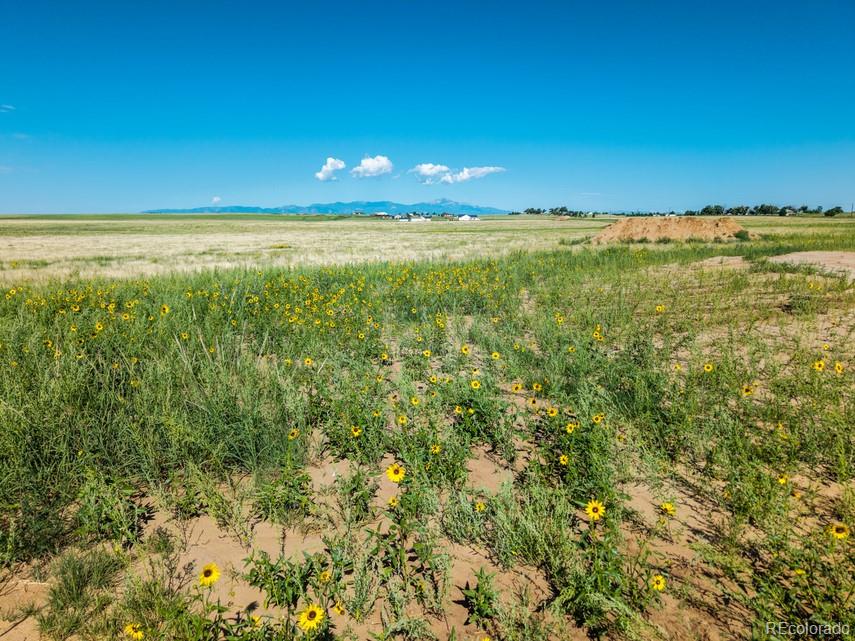 20892 Silverado Hill View Colorado City CO 80928