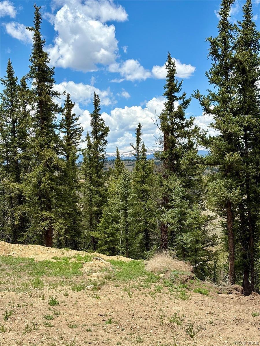 84 Konik Lane Como CO 80432