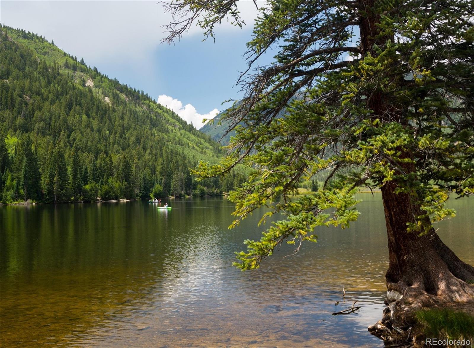10795 County Road 197a Nathrop CO 81236