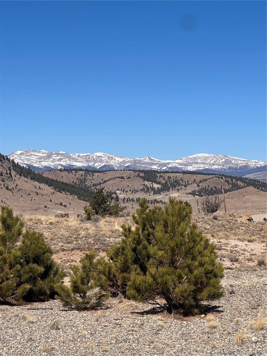 260 Saddle Trail Hartsel CO 80449