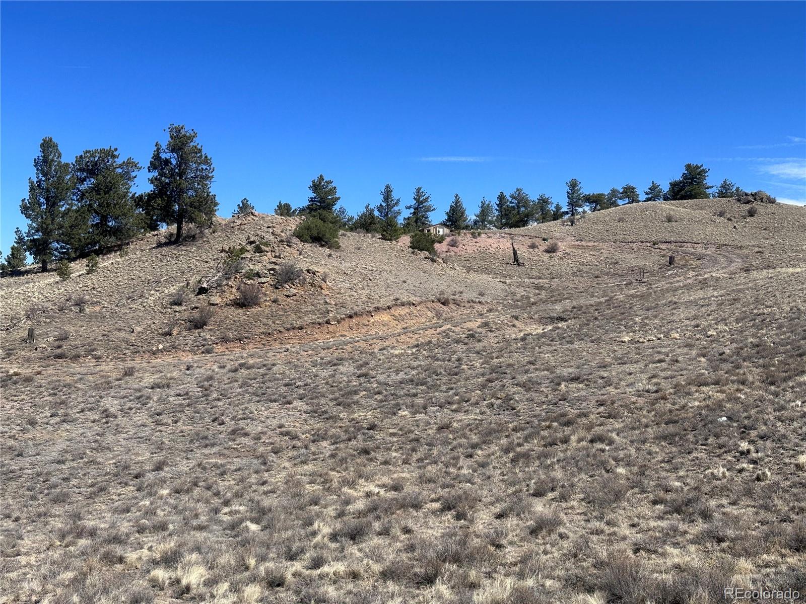 260 Saddle Trail Hartsel CO 80449
