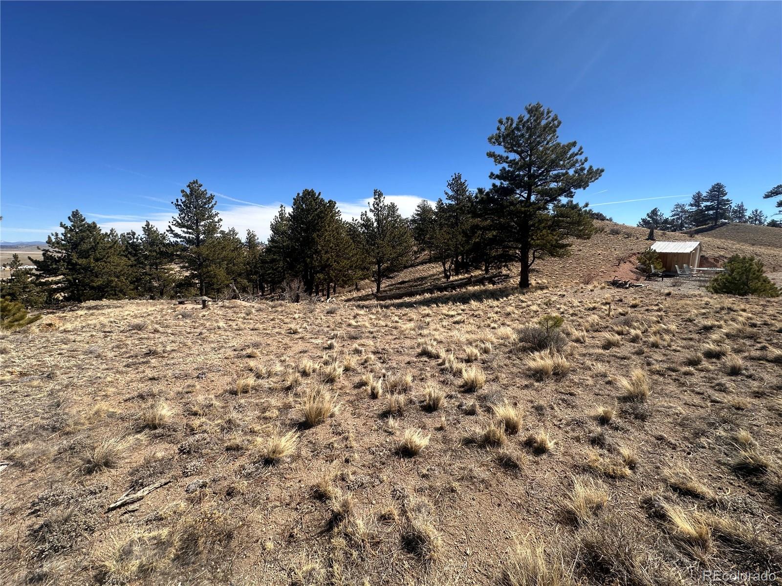260 Saddle Trail Hartsel CO 80449