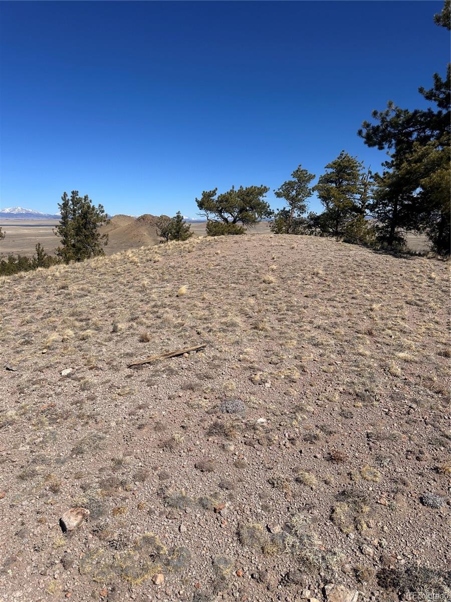 260 Saddle Trail Hartsel CO 80449