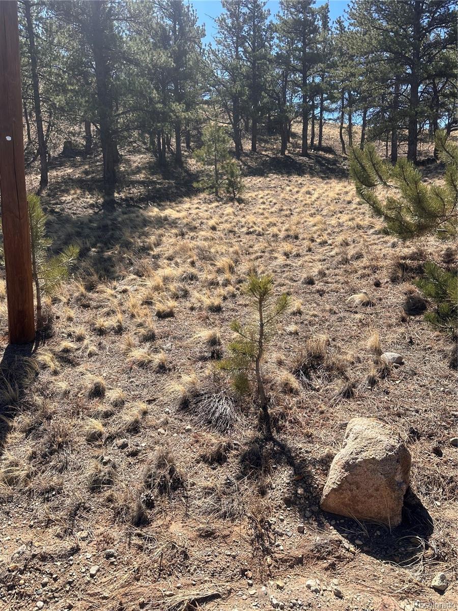 260 Saddle Trail Hartsel CO 80449