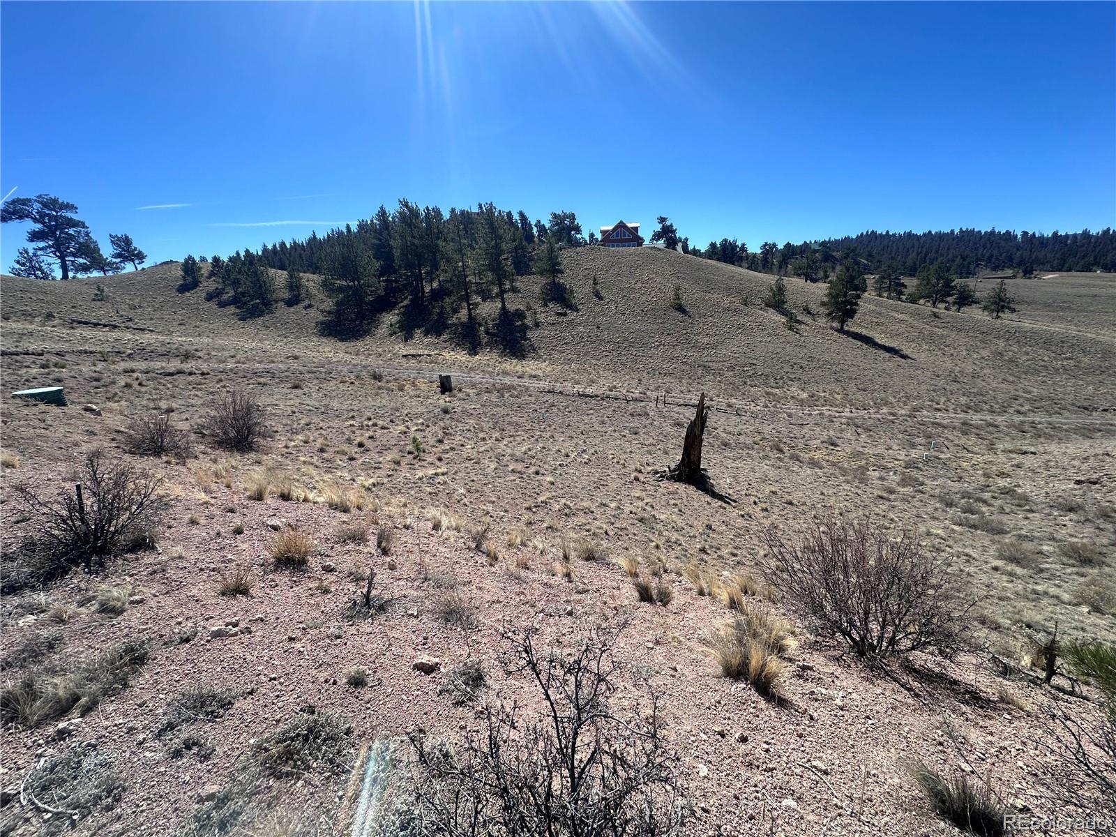 260 Saddle Trail Hartsel CO 80449