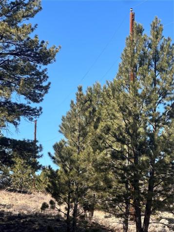 260 Saddle Trail Hartsel CO 80449