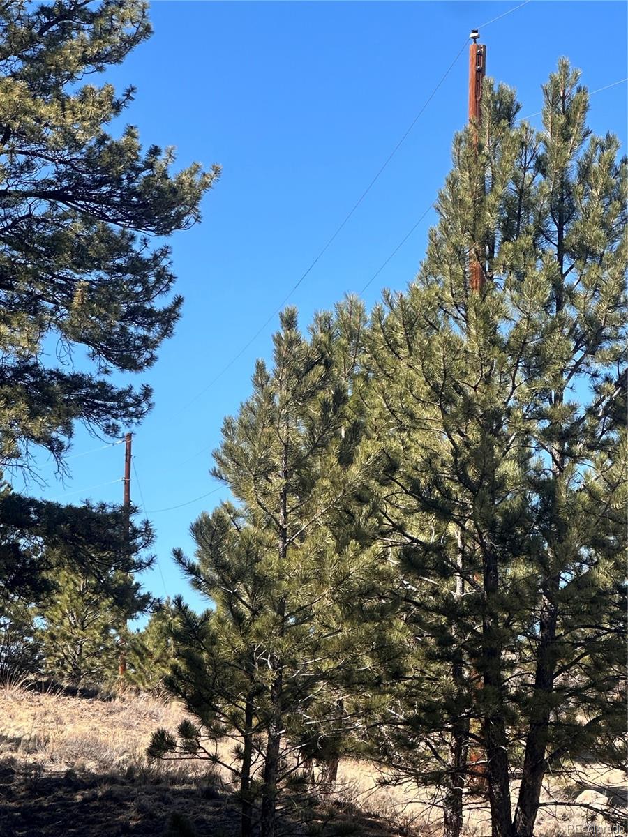 260 Saddle Trail Hartsel CO 80449