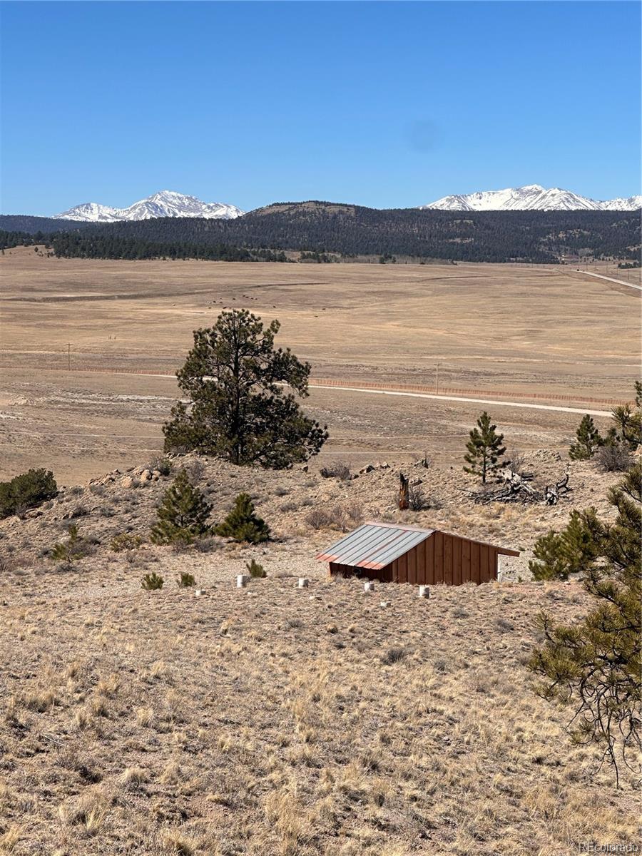260 Saddle Trail Hartsel CO 80449