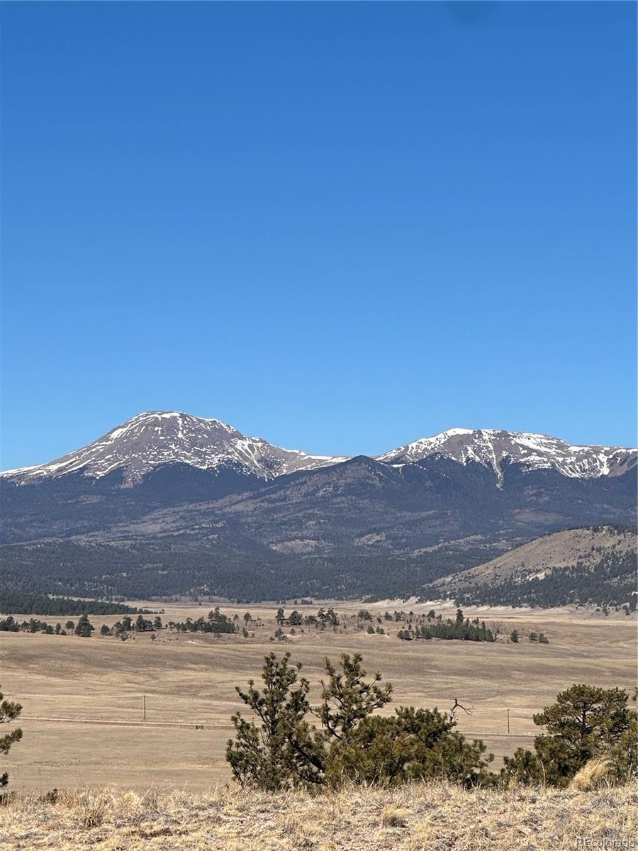 260 Saddle Trail Hartsel CO 80449