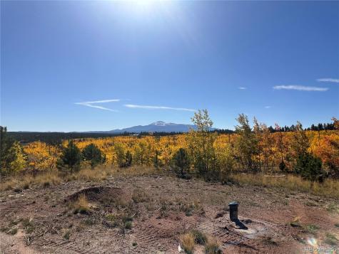 Lot 2 County Road 51 Florissant CO 80816