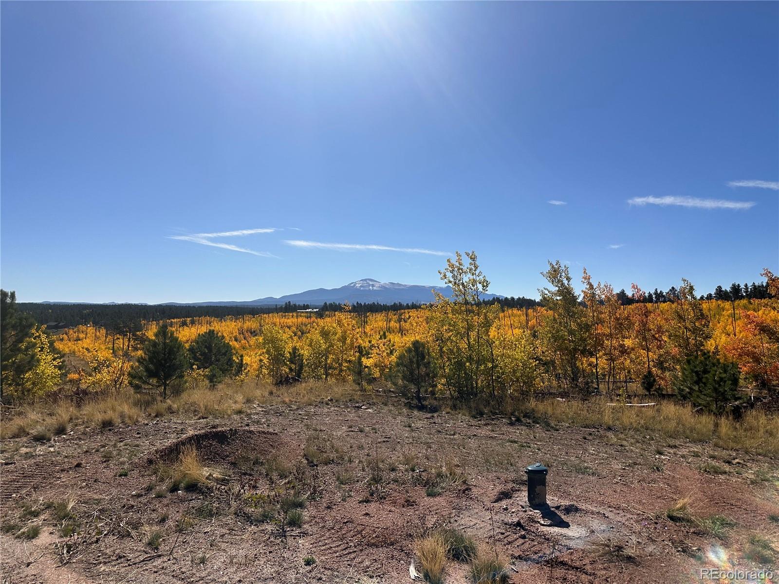 Lot 2 County Road 51 Florissant CO 80816