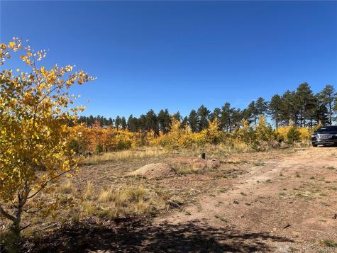 Lot 2 County Road 51 Florissant CO 80816