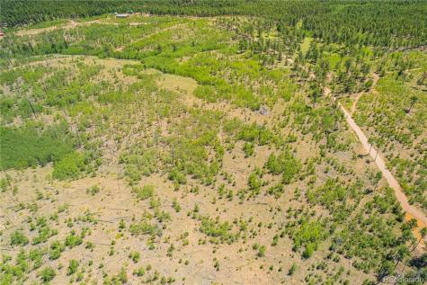 Lot 2 County Road 51 Florissant CO 80816