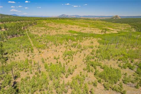 Lot 2 County Road 51 Florissant CO 80816