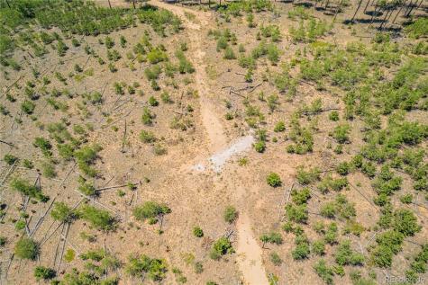 Lot 2 County Road 51 Florissant CO 80816
