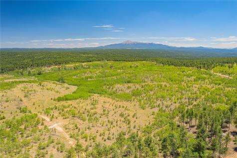 Lot 2 County Road 51 Florissant CO 80816