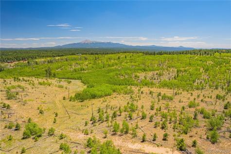 Lot 2 County Road 51 Florissant CO 80816