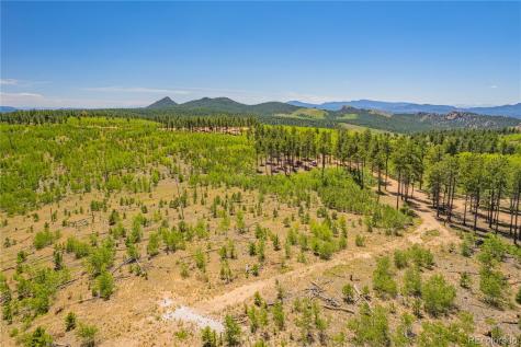 Lot 2 County Road 51 Florissant CO 80816