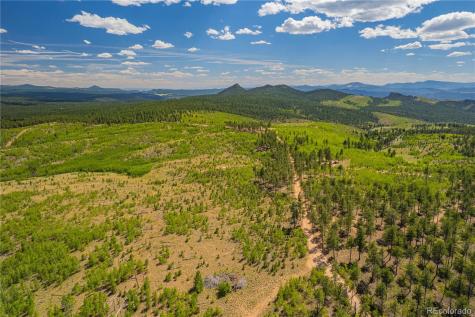 Lot 2 County Road 51 Florissant CO 80816