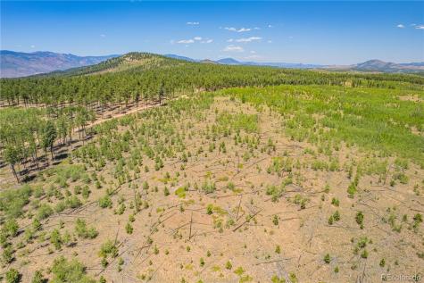 Lot 2 County Road 51 Florissant CO 80816