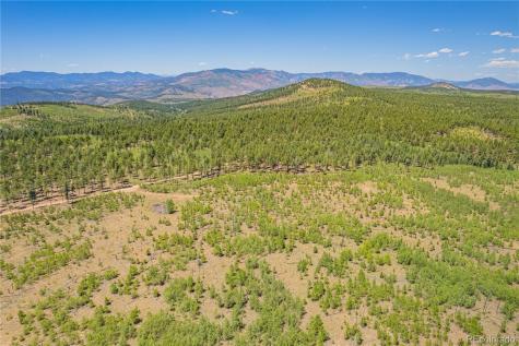 Lot 2 County Road 51 Florissant CO 80816