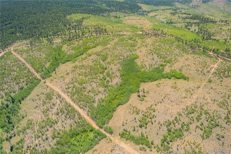 Lot 2 County Road 51 Florissant CO 80816