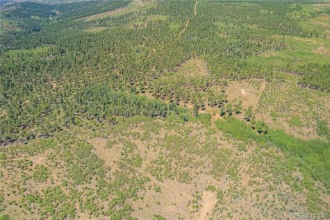 Lot 2 County Road 51 Florissant CO 80816