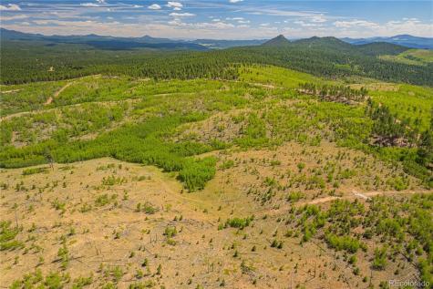 Lot 2 County Road 51 Florissant CO 80816