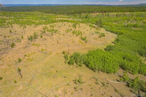 Lot 2 County Road 51 Florissant CO 80816