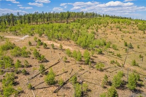 Lot 2 County Road 51 Florissant CO 80816