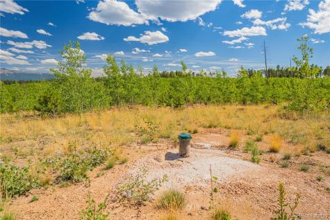 Lot 2 County Road 51 Florissant CO 80816