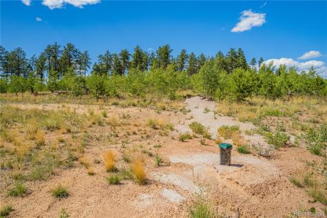 Lot 2 County Road 51 Florissant CO 80816