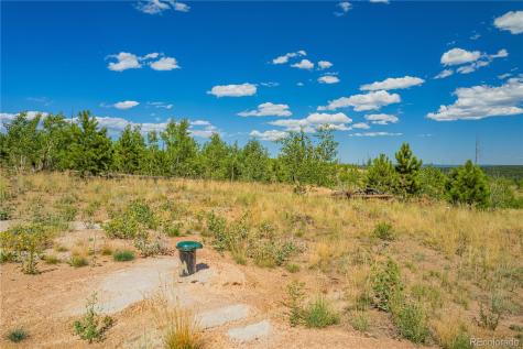 Lot 2 County Road 51 Florissant CO 80816