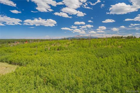 Lot 2 County Road 51 Florissant CO 80816