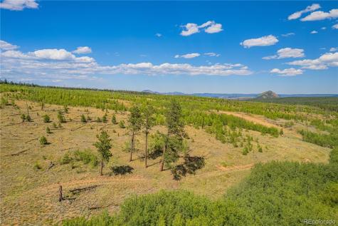 Lot 2 County Road 51 Florissant CO 80816