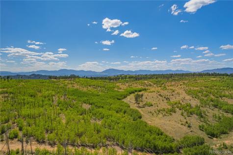 Lot 2 County Road 51 Florissant CO 80816