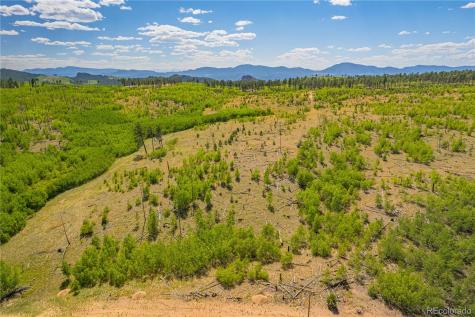 Lot 2 County Road 51 Florissant CO 80816