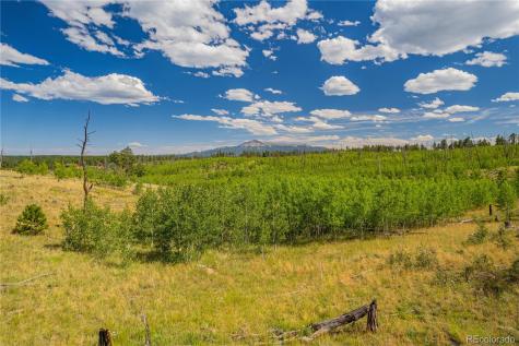 Lot 2 County Road 51 Florissant CO 80816