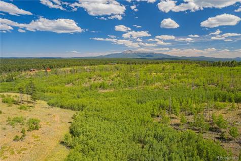Lot 2 County Road 51 Florissant CO 80816