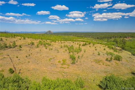 Lot 2 County Road 51 Florissant CO 80816