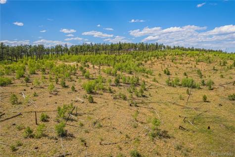 Lot 2 County Road 51 Florissant CO 80816